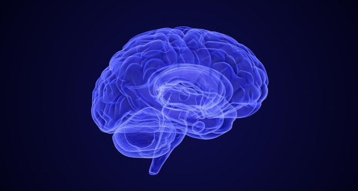 To strengthen your brain, you also need to be more focused