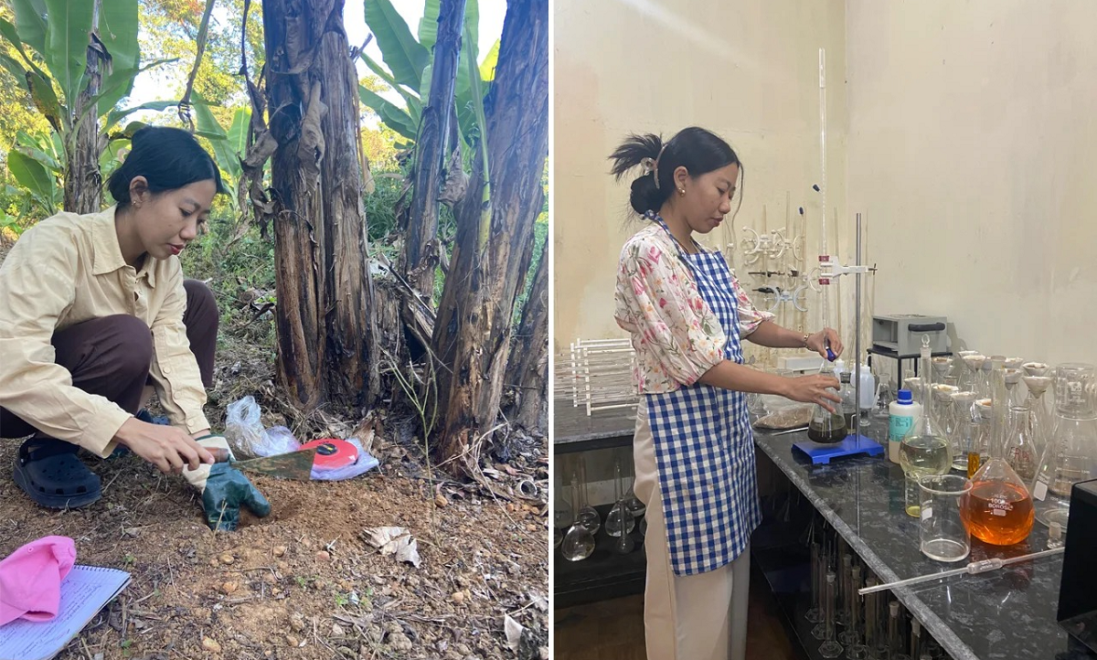 A study from Nagaland University warns that the Dhansiripar region’s soil is degrading quickly