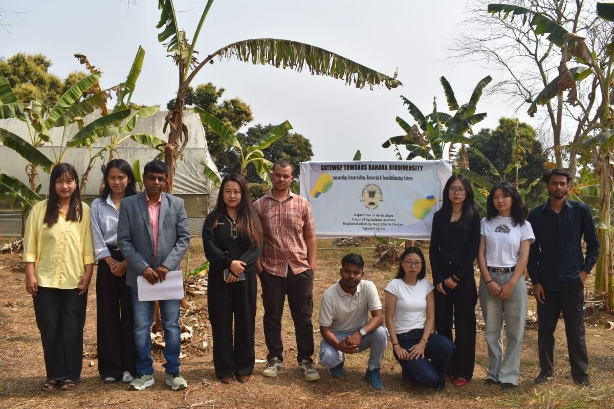 Rich Genetic Variation In NE Wild Bananas Revealed By Nagaland University Study