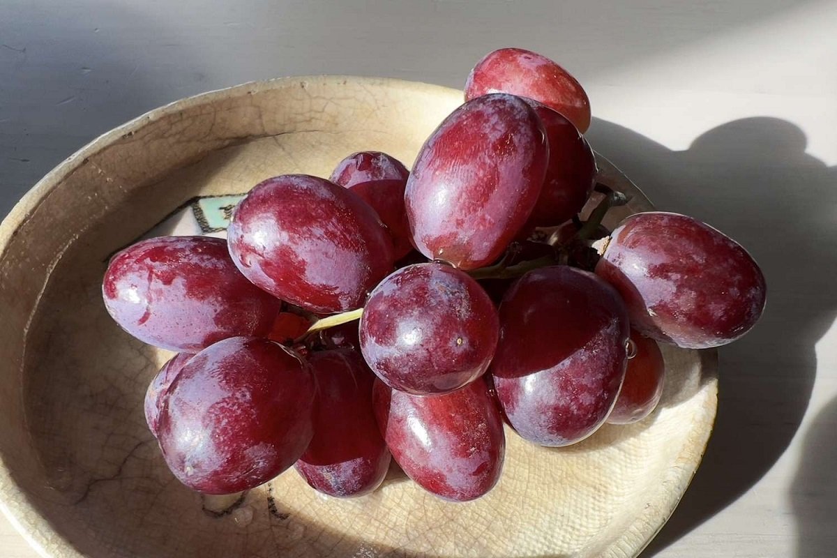 From heart health to immunity: Benefits of grapes explained
