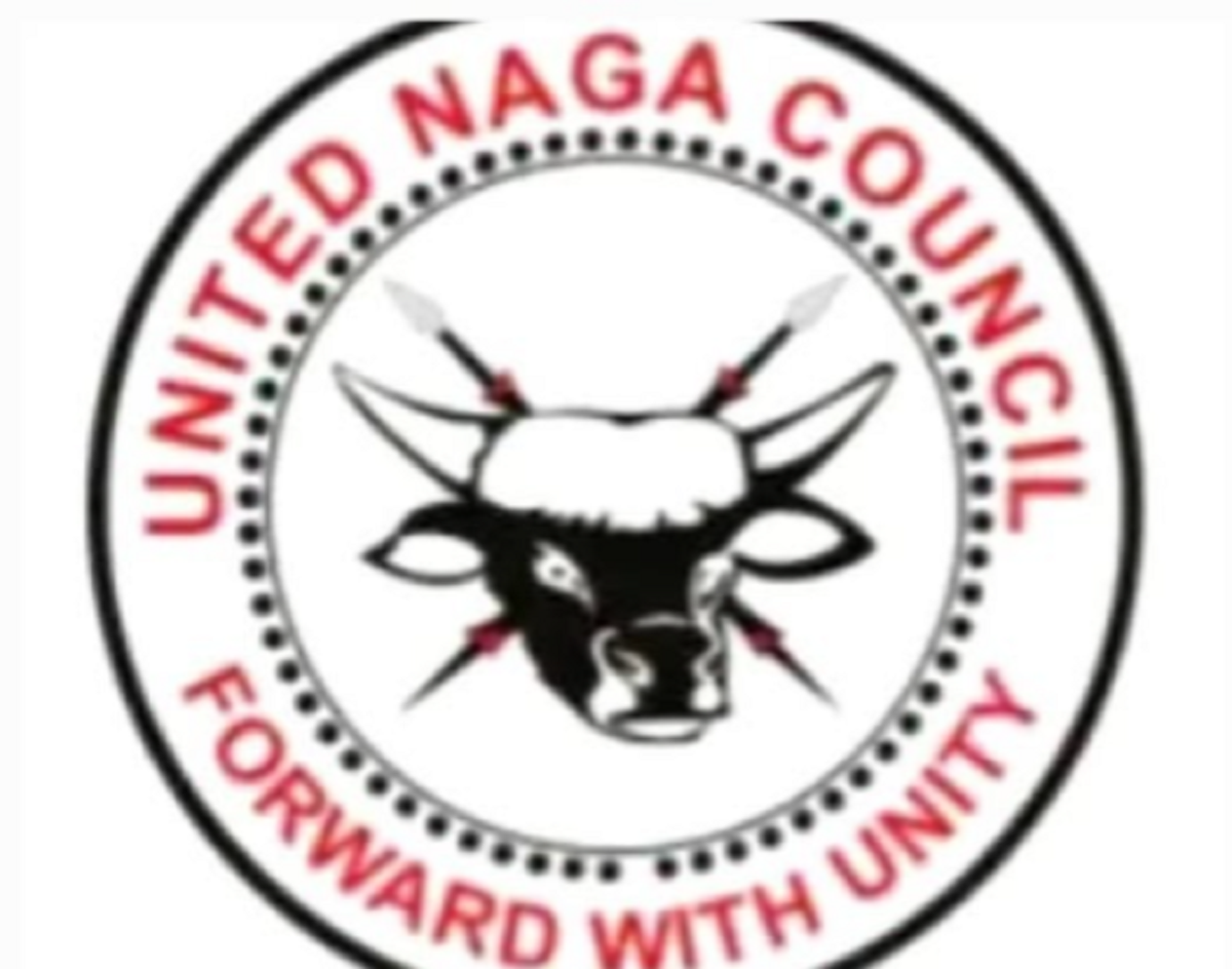 Security Forces Accused of Excesses by Naga Organizations