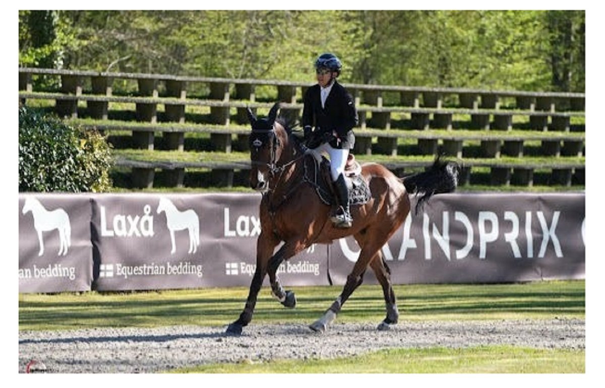 Indian Showjumper Rio Shines Globally with Landmark Victory in Prestigious French Equestrian Event