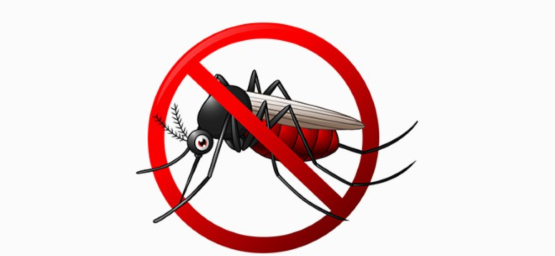 Nagaland’s Kiphire Launches Cleanliness Drive Ahead of National Dengue Day