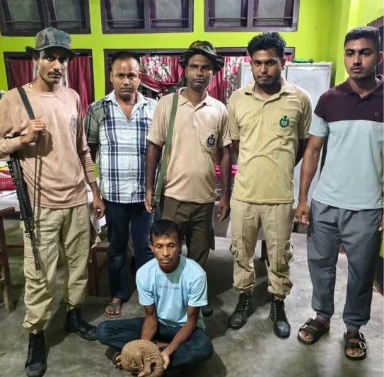 West Kamrup Crackdown: Pangolin Seized, Suren Rabha Held For Illegal Transport