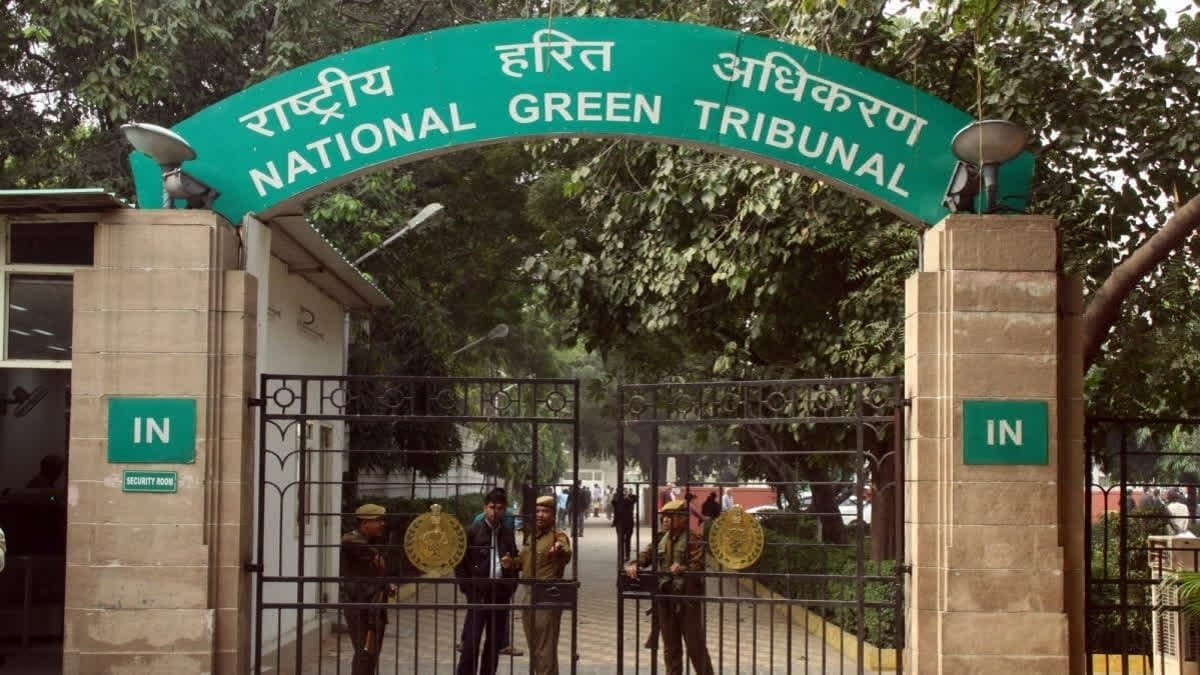 Assam comes under NGT scanner after Amicus Curiae flags gaps in waste anagement